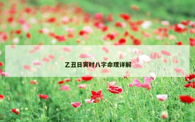 乙丑日寅时八字命理详解