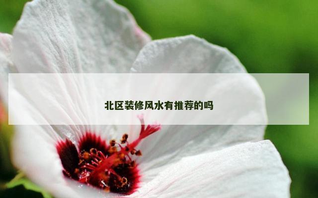 北区装修风水有推荐的吗