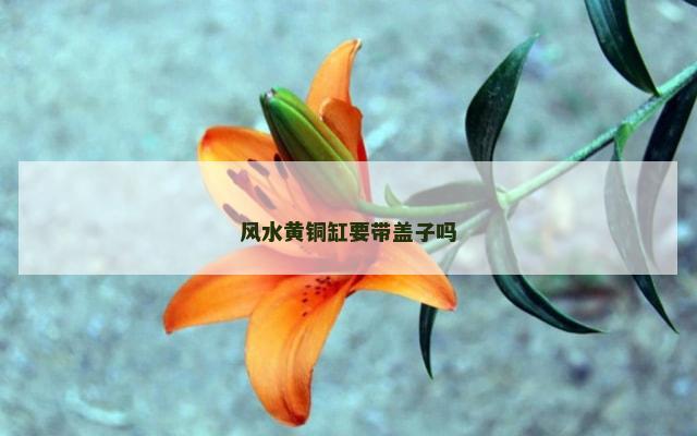 风水黄铜缸要带盖子吗