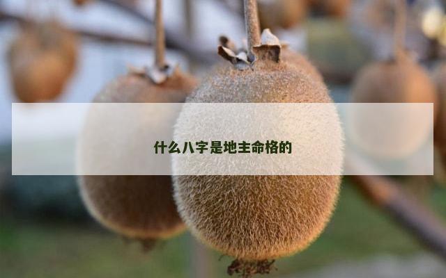 什么八字是地主命格的