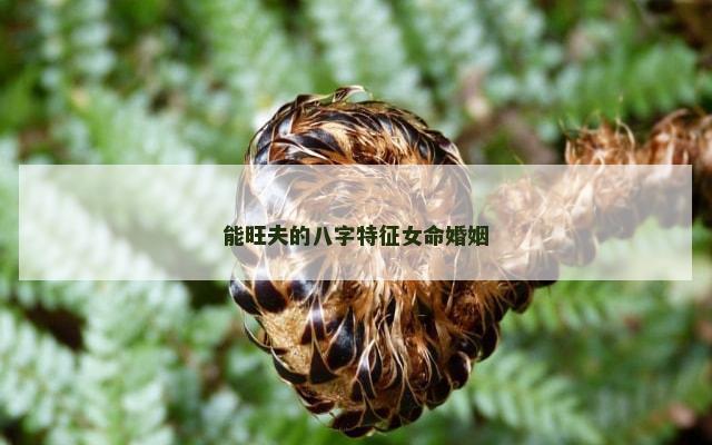 能旺夫的八字特征女命婚姻