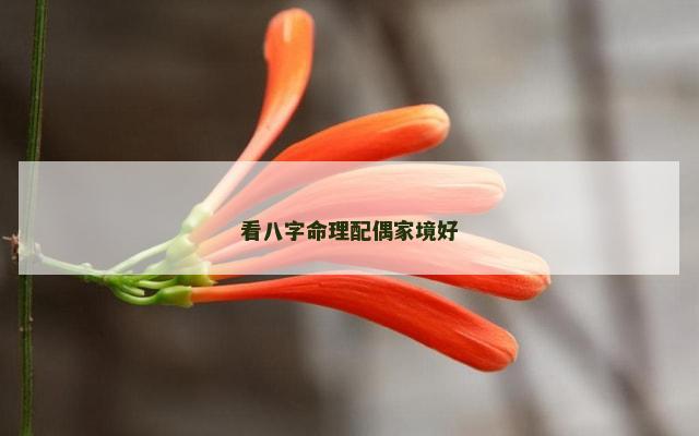 看八字命理配偶家境好