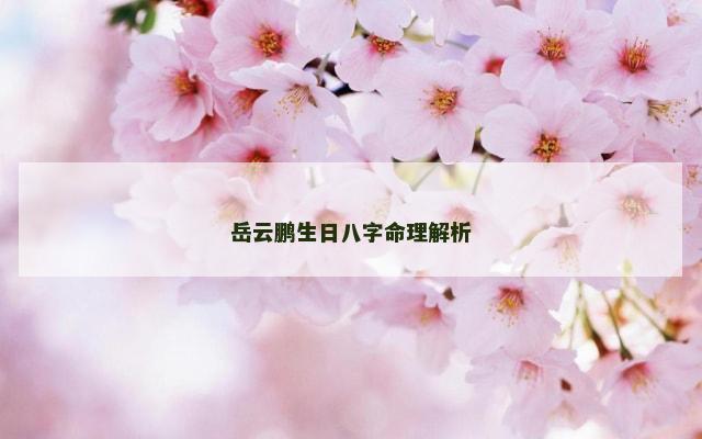 岳云鹏生日八字命理解析