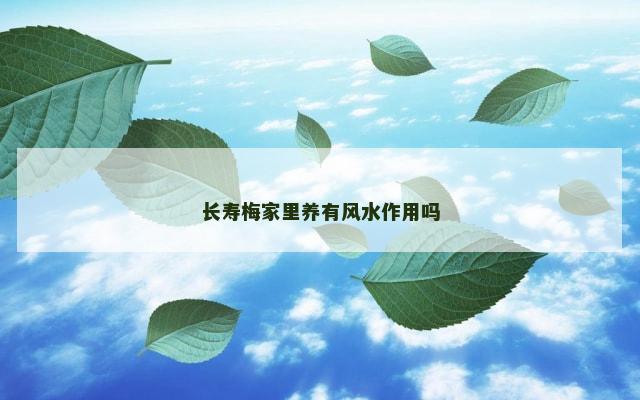 长寿梅家里养有风水作用吗