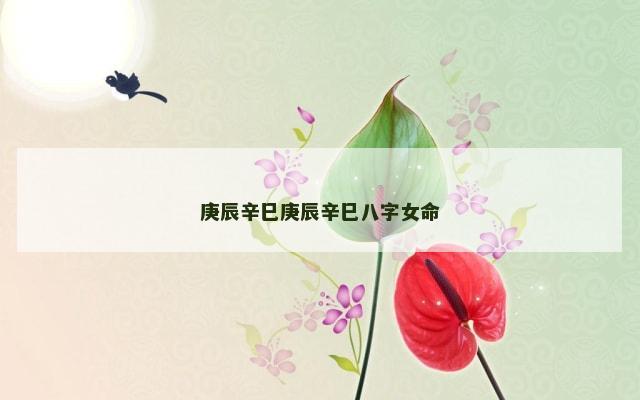 庚辰辛巳庚辰辛巳八字女命