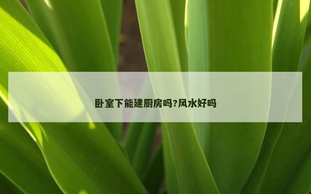 卧室下能建厨房吗?风水好吗