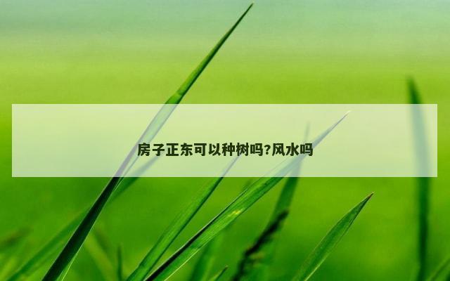 房子正东可以种树吗?风水吗