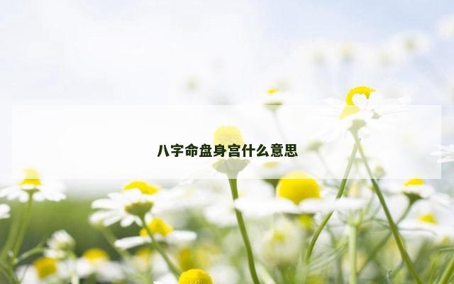 八字命盘身宫什么意思