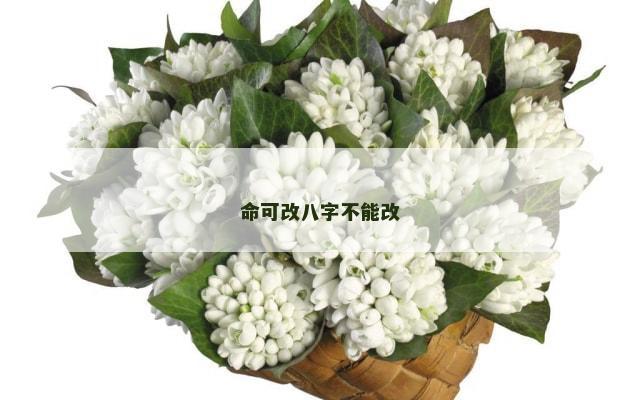 命可改八字不能改