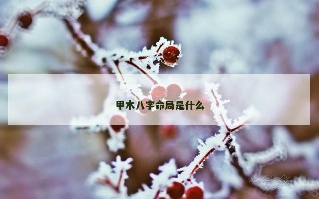 甲木八字命局是什么