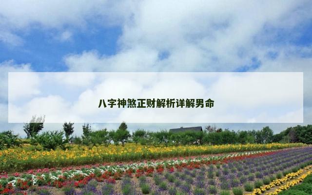 八字神煞正财解析详解男命
