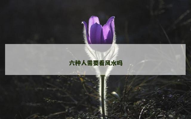 六种人需要看风水吗