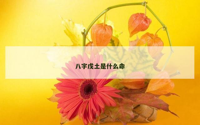 八字戊土是什么命