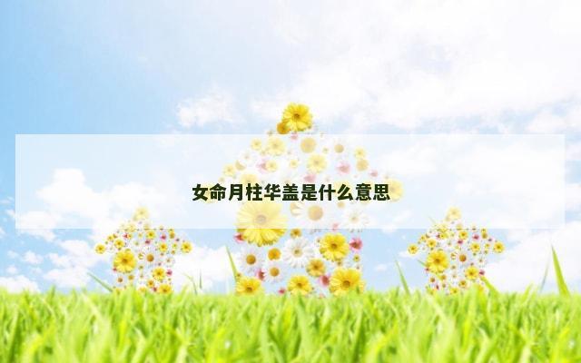 女命月柱华盖是什么意思