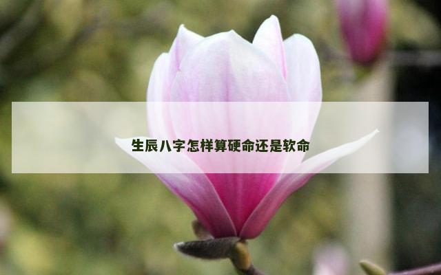 生辰八字怎样算硬命还是软命