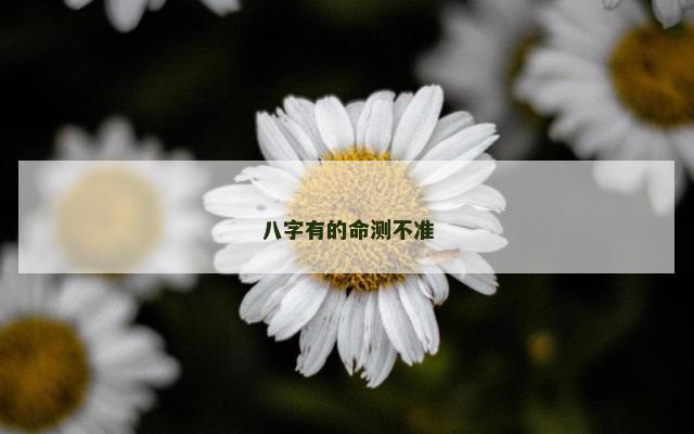 八字有的命测不准