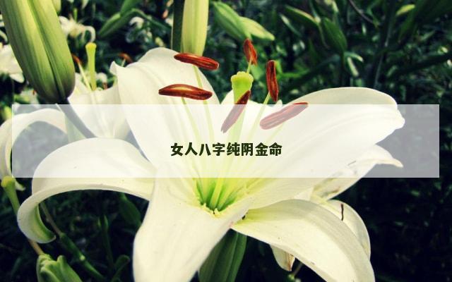 女人八字纯阴金命