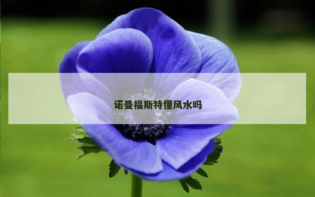 诺曼福斯特懂风水吗