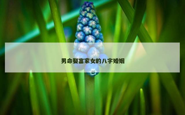 男命娶富家女的八字婚姻