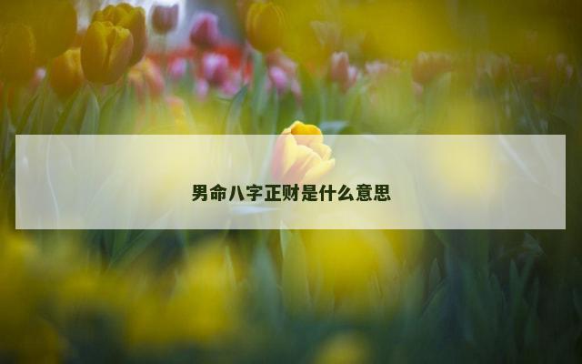 男命八字正财是什么意思
