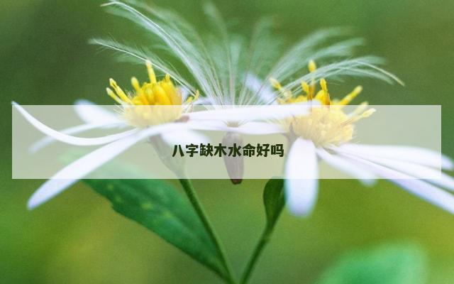 八字缺木水命好吗