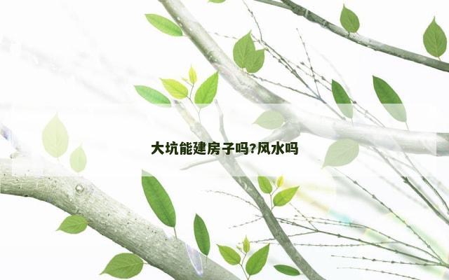 大坑能建房子吗?风水吗