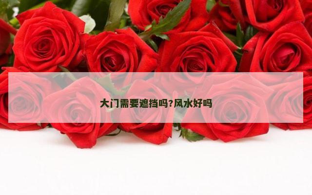 大门需要遮挡吗?风水好吗