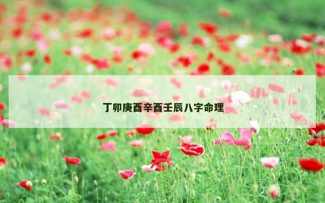 丁卯庚酉辛酉壬辰八字命理