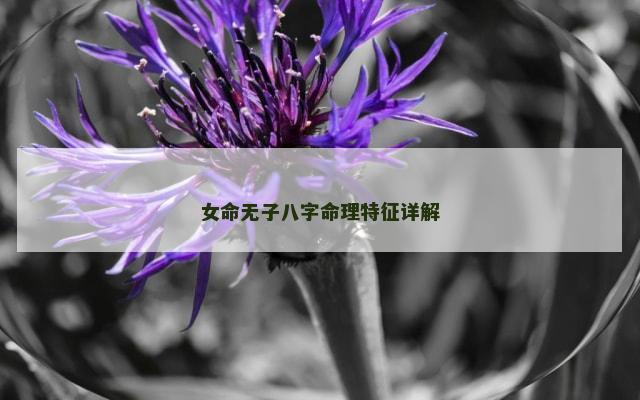 女命无子八字命理特征详解