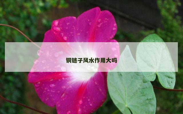 铜链子风水作用大吗