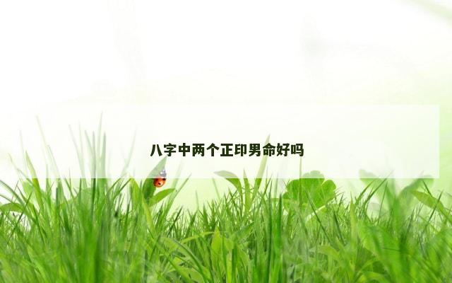 八字中两个正印男命好吗