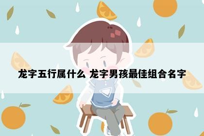 龙字五行属什么 龙字男孩最佳组合名字