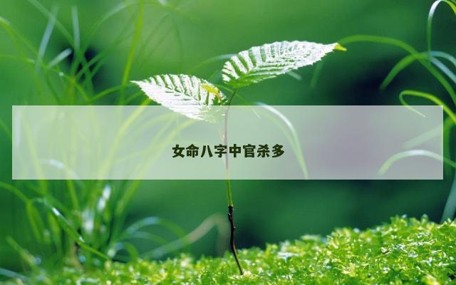 女命八字中官杀多