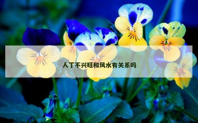 人丁不兴旺和风水有关系吗
