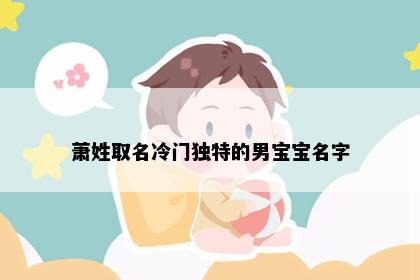 萧姓取名冷门独特的男宝宝名字