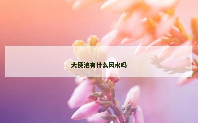 大便池有什么风水吗