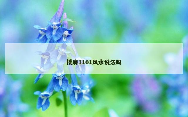 楼房1101风水说法吗