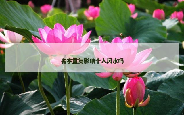 名字重复影响个人风水吗