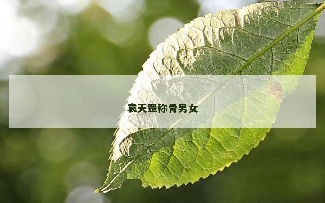 袁天罡称骨男女