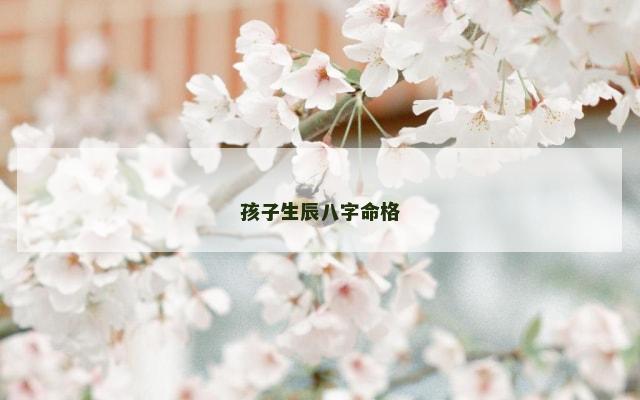 孩子生辰八字命格