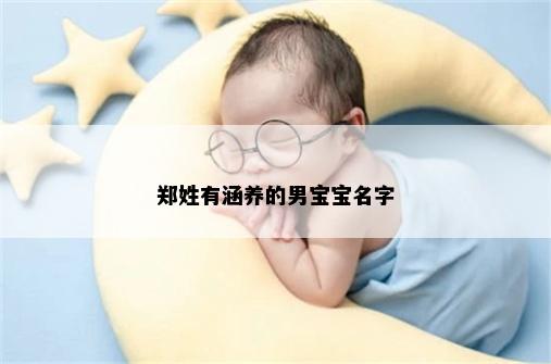 郑姓有涵养的男宝宝名字