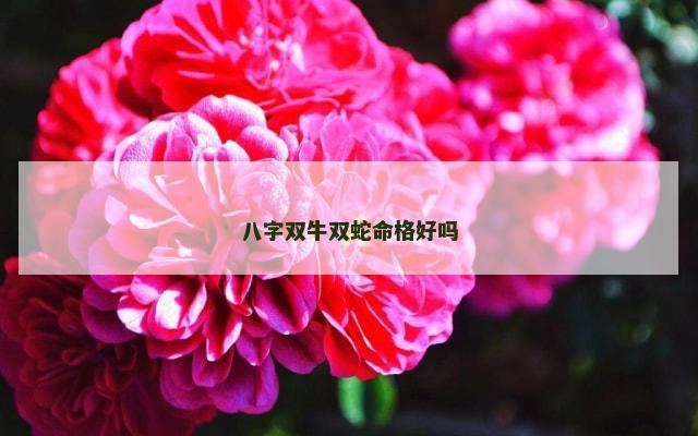 八字双牛双蛇命格好吗