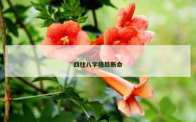 四柱八字格局断命