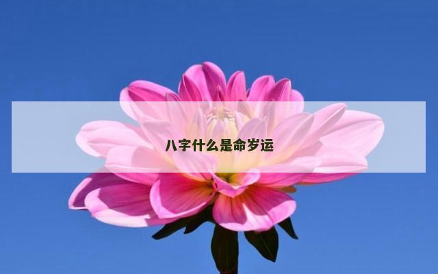 八字什么是命岁运
