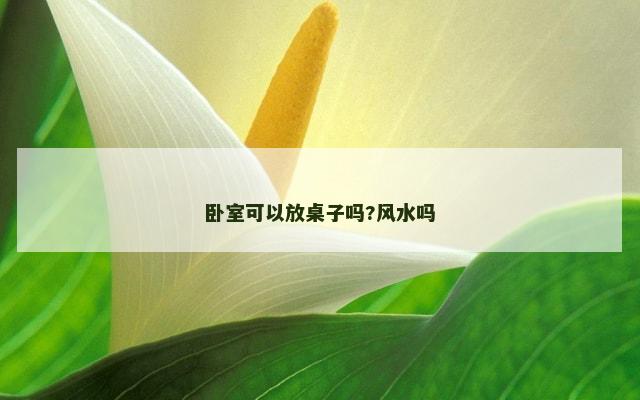 卧室可以放桌子吗?风水吗