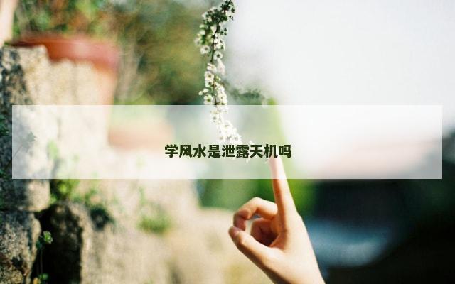 学风水是泄露天机吗