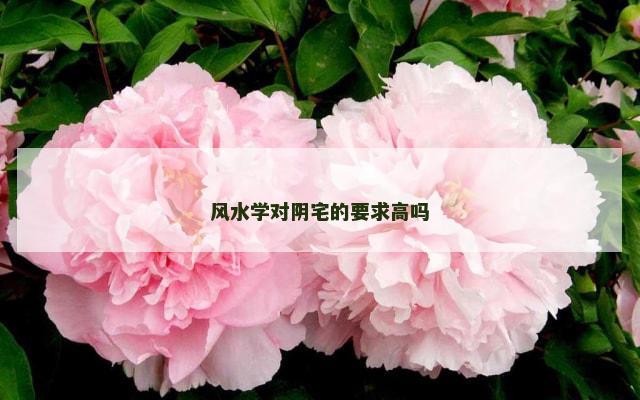 风水学对阴宅的要求高吗