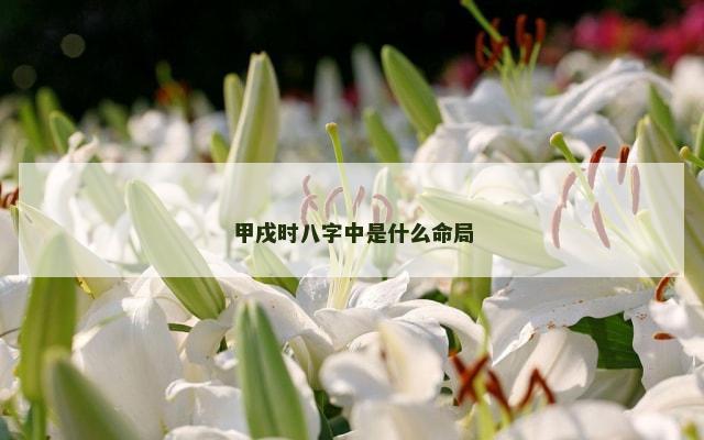 甲戌时八字中是什么命局