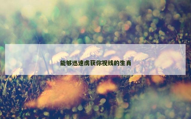 能够迅速虏获你视线的生肖