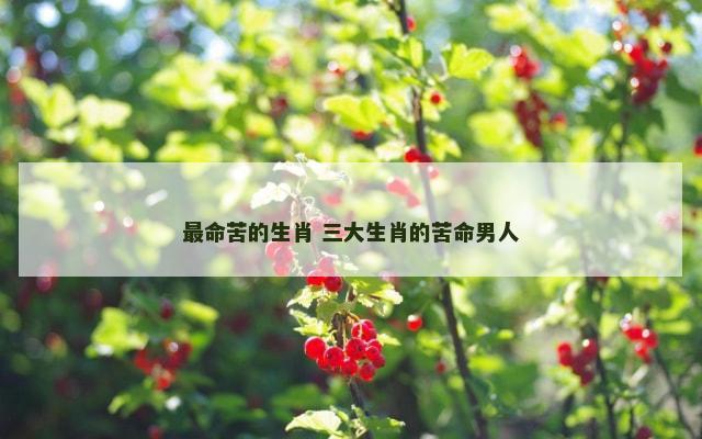 最命苦的生肖 三大生肖的苦命男人